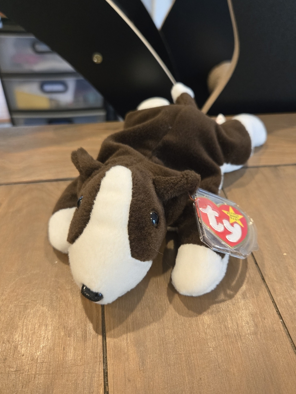 Ty Beanie Baby Bruno Brown and White Bull Terrier Dog Plush Tags